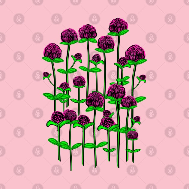 Globe amaranth flowers by CindyS