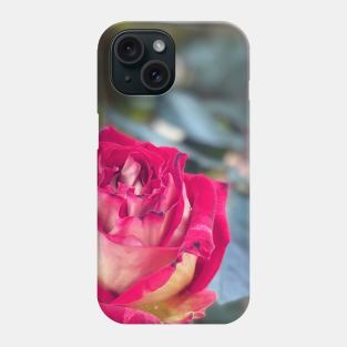 Rose in Spring Phone Case