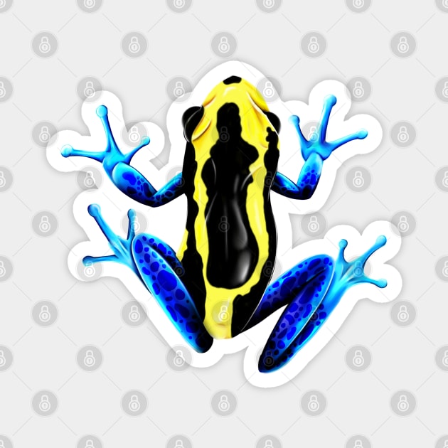 Dyeing poison dart frog Magnet by Icydragon98
