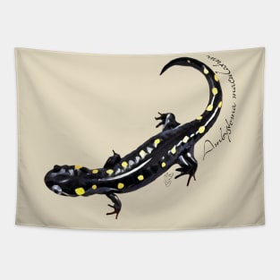 Spotted salamander art with scientific name Tapestry