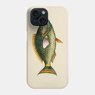 Fish Drawing Phone Case