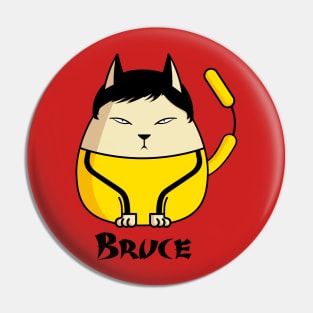 Bruce the Cat Pin