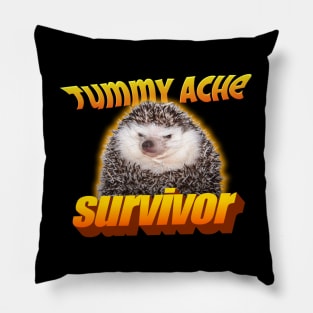 Tummy Ache Survivor Meme Pillow