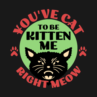 You've Cat To be Kitten Me T-Shirt