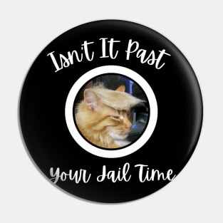 Isn’t-It-Pas-Your-Jail-Time Pin