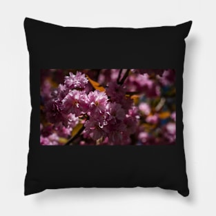 Pink Cherry Blossom Pillow