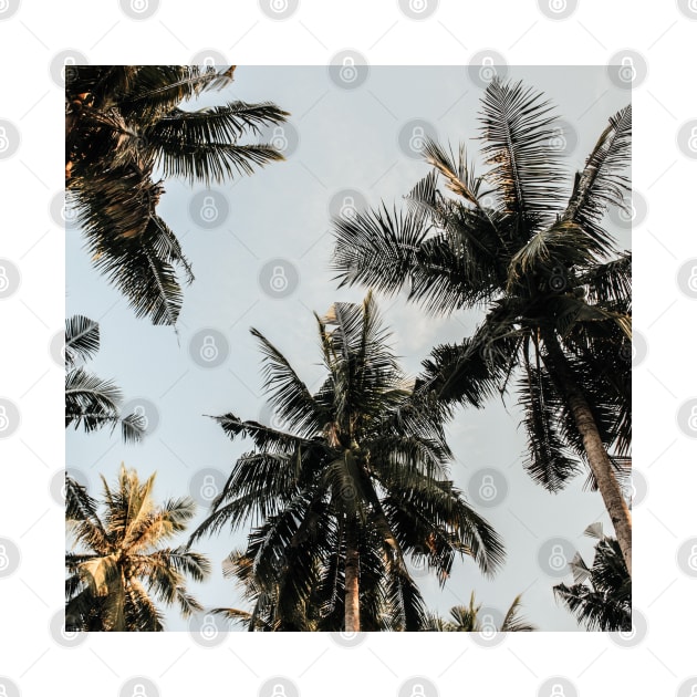 Coconut Trees by ArtoTee