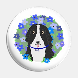 Border collie with forget me not flowers Pin