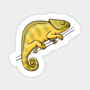 Chameleon Magnet