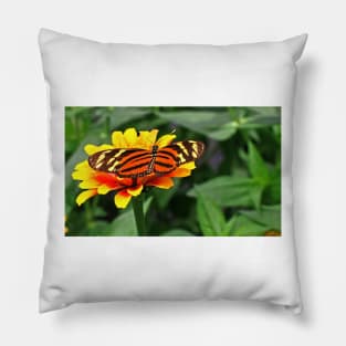 Isabella Tiger Pillow