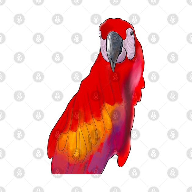 Guacamaya by Andrea Ruiz Designs