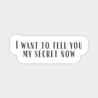 My Secret Magnet