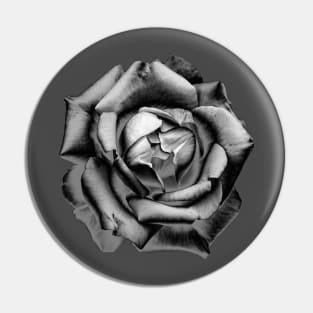 Charcoal Rose Drawing Pin