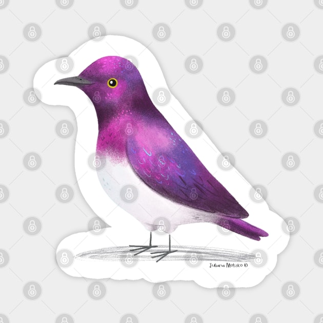 Violet Backed Starling Bird Magnet by julianamotzko