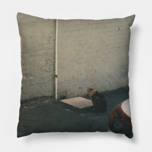 Kitty on a sidewalk Film Photo Pillow