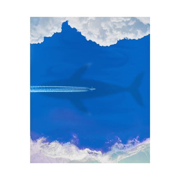 Airplane, whale, sky and ocean by Paskwaleeno