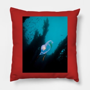 Bizzare Tunicate Pillow