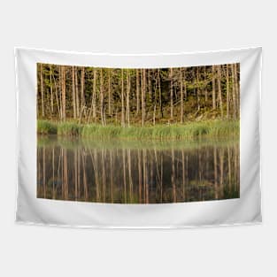 Forest reflecting to small lake at morning Tapestry