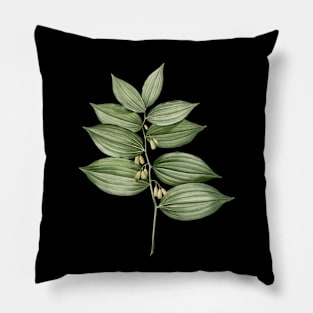 Vintage King Solomon's Seal Botanical Illustration Pillow