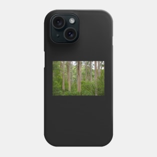 Many tall gum trees in Otway National Park. Phone Case