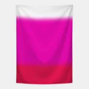 Ombre Pinks Tapestry