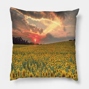 SUNFLOWERS Pop Art Pillow