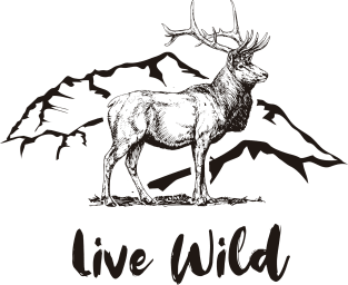 Bull Elk Standing "Live Wild" Magnet