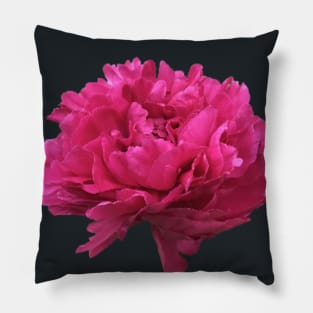 Hot Pink Peony in Full Bloom Pillow