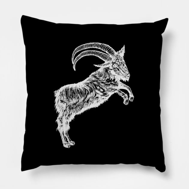 Do What Thou Wilt Pillow by LadyMorgan