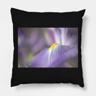 Iris in Soft Light Pillow