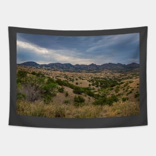 Santa Rita Mountains, Arizona Tapestry