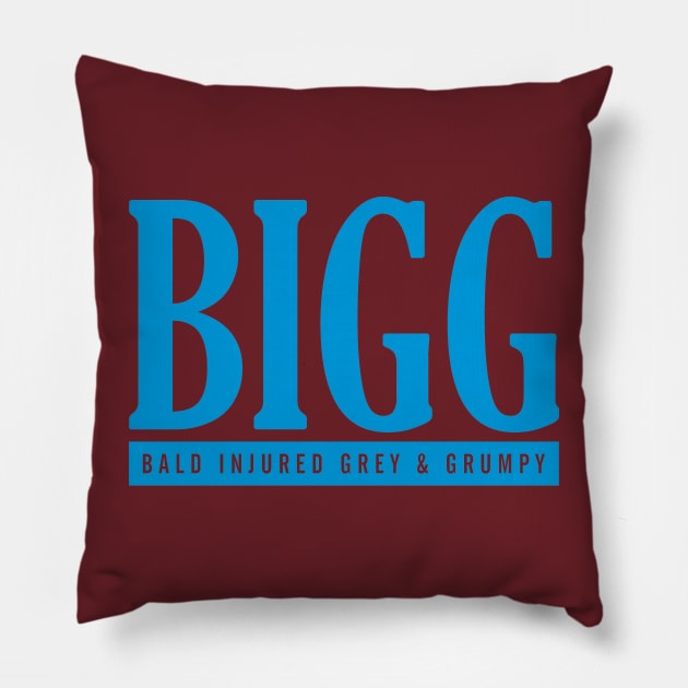 BIGG Pillow by altered igo