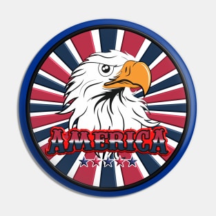 America Eagle Pin