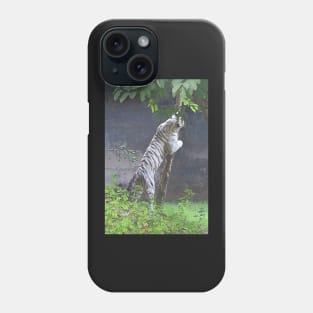 White Bengal Tiger Marking Territory Phone Case