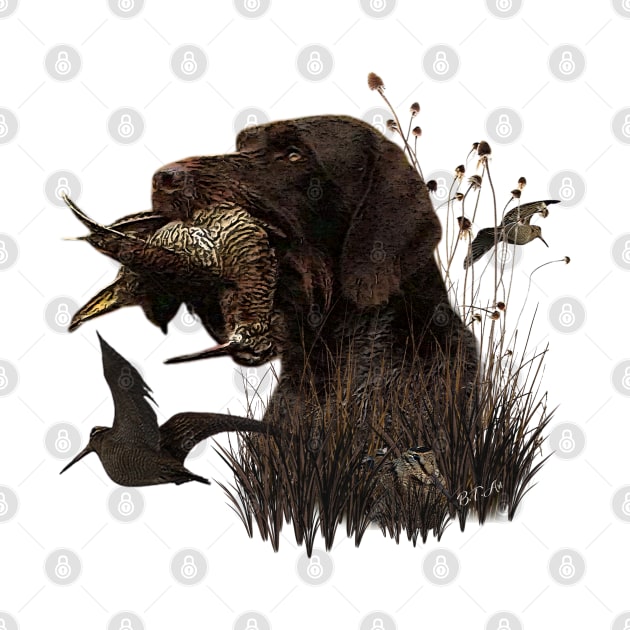 Woodcock Hunting with German Wirehaired Pointer by German Wirehaired Pointer 