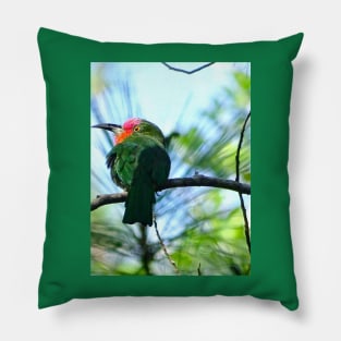 A SPLASH OF RED BEARDED BEE EATER Pillow