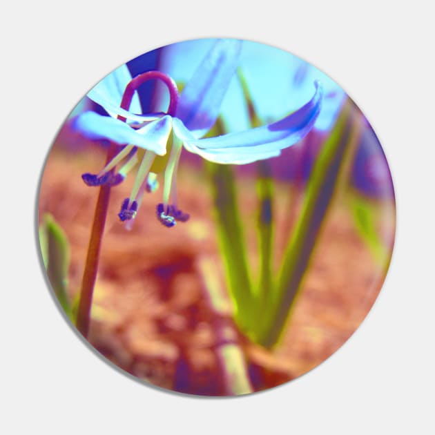 Blue Wildflower Pin by saradaboru