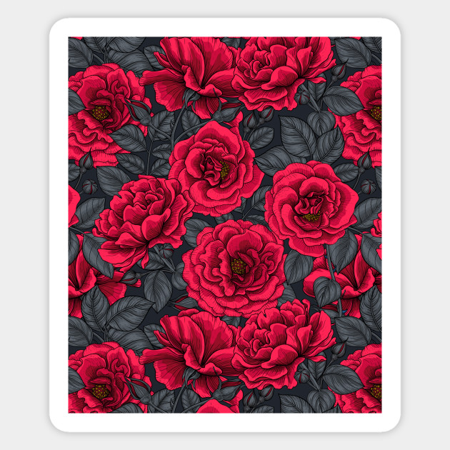 Red cosmos flowers - Roses - Sticker