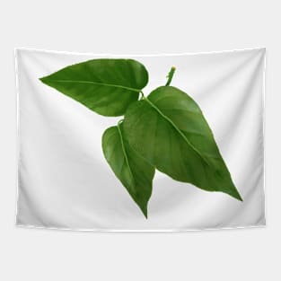 Pothos Jade Leaf Tapestry