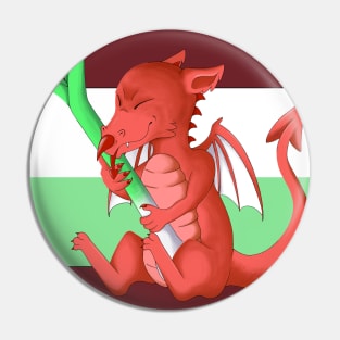 Welsh Dragon with leek Pin