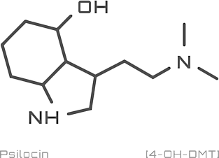 Psilocin Molecule - grey design Magnet