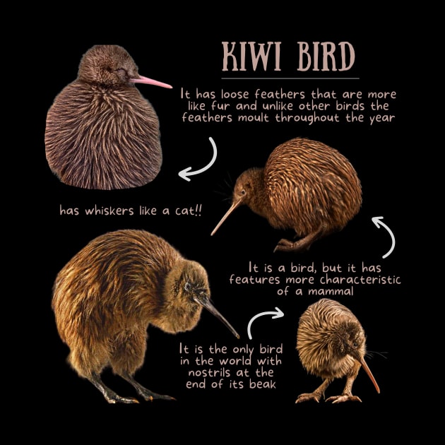 Animal Facts - Kiwi bird by Animal Facts and Trivias