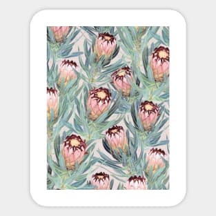 Protea Flower Trio Sticker Pack - Three 3 Waterproof Vinyl Stickers f