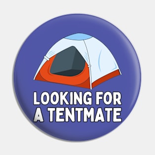 Looking for a Tentmante / MUSIC FESTIVAL OUTFIT / Playful Festival Humor Pin