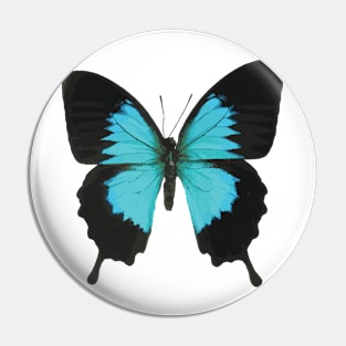 Black and Blue Butterfly Pin