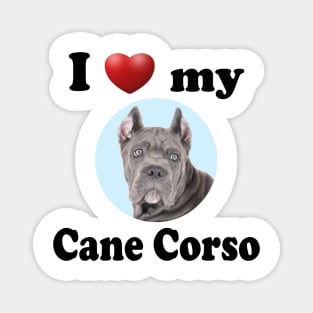 I Love My Cane Corso Magnet