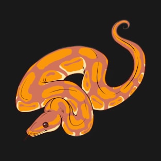 Sunset Ball Python T-Shirt