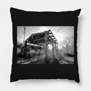 The Last Boathouse Standing Pillow