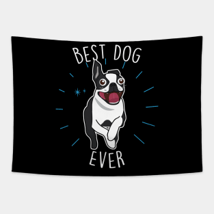 Boston Terrier Best Dog Tapestry