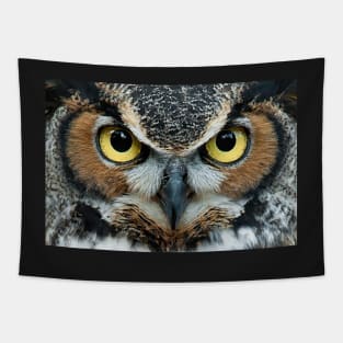 Owl Face Eyes Tapestry